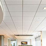 tran_thach_cao_nghiem_gia